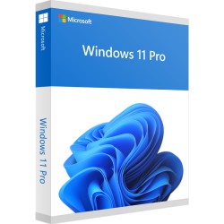 Microsoft Windows 11 Pro 64 Bits DSP DVD OEM