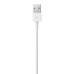Apple Cable Lightning a USB 50cm - Cable USB