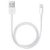 Apple Cable Lightning a USB 50cm - Cable USB